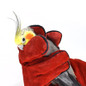 thumbnail - 3