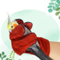 thumbnail - 5