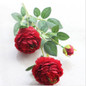 thumbnail - 3