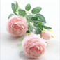 thumbnail - 2