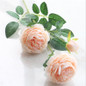 thumbnail - 1