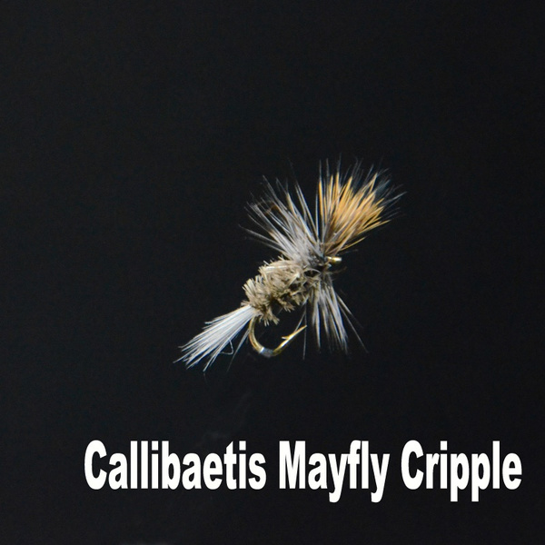 5pcs/box 16# Callibaetis Mayfly Cripple Emerging Mayflies Dry Fly Lures ...