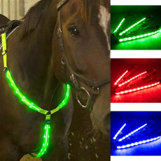 horse, Outdoor, led, lights