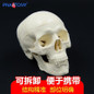 thumbnail - 2
