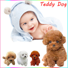 Toy, realisticteddydog, Gifts, Teddy
