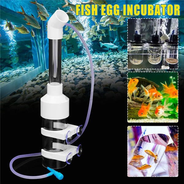 Aquarium Egg Incubator Tumbler - For Cichlid Fish & Shrimp Eggs, 70mm, Mouth-Brooding Hatchery With Air Pump
