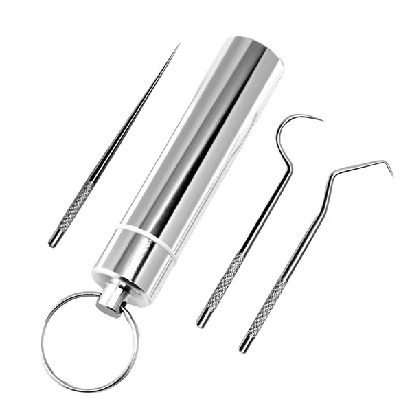 3 pcs Pocket Toothpick Holder Keychain Toothpick Metal Toothpick Holder  Dental Picks for Camping Picnic Outdoor
