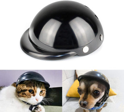 Helmet, pethelmet, doggyhelmet, Pets
