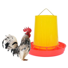 poultry, Outdoor, chickenpoultryfeeder, chickendrinker