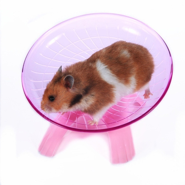 mouse cage accessories