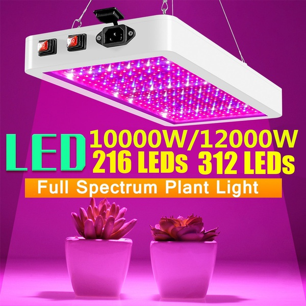 led grow lights wish