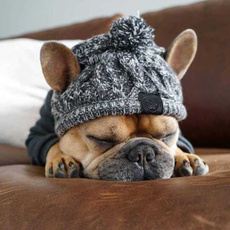 Fashion, dogwinterhat, Winter, doghat