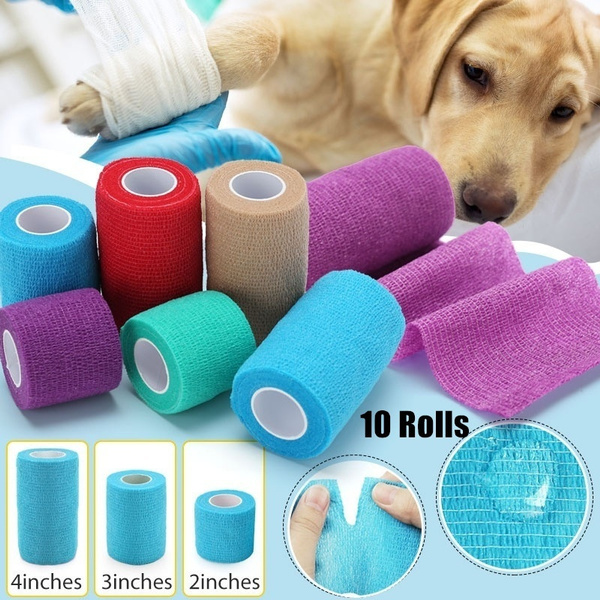 dog bandage wrap
