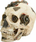 thumbnail - 1