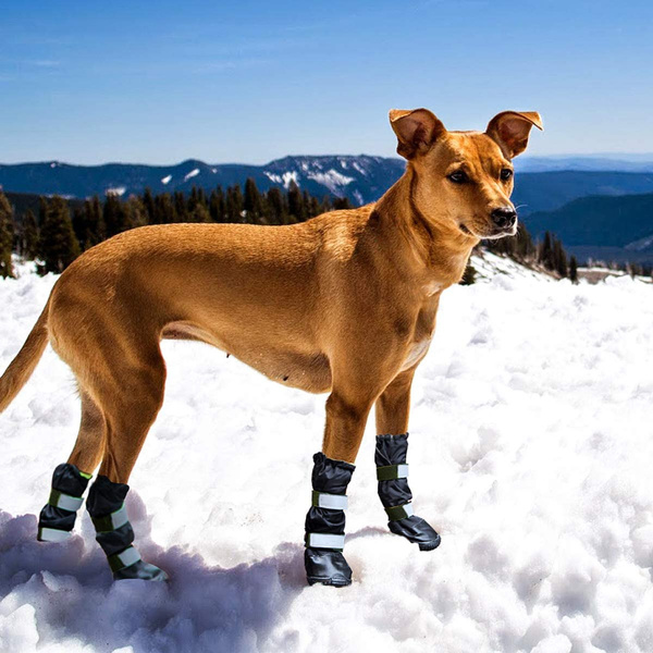 Waterproof winter dog clearance boots