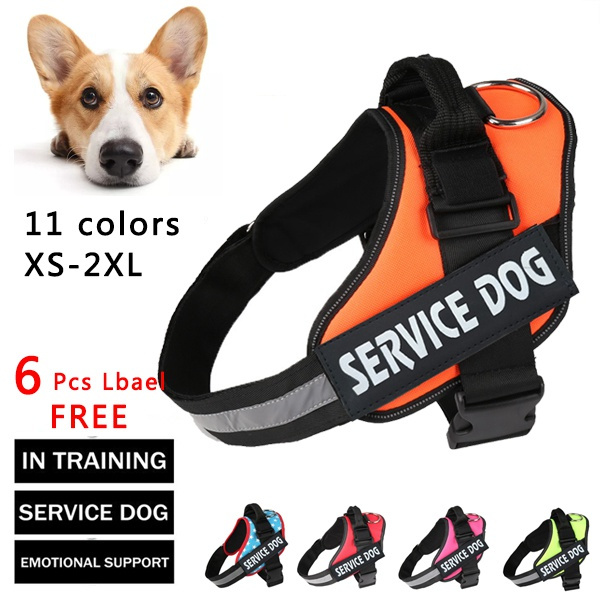 Wish service 2025 dog vest