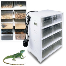 Turtle, Box, insectfeedingbox, petaccessorie