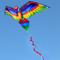 Fantastic, Outdoor, kite, Parrot