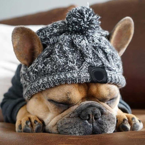 Warm winter 2024 hats for dogs