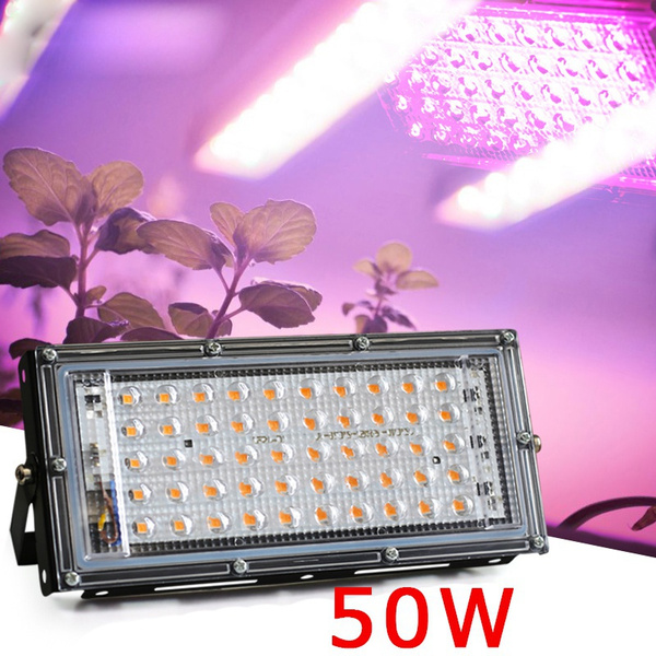 wish led grow lights