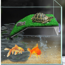 Turtle, turtleladder, Toy, Tank