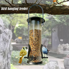 Outdoor, Garden, Parrot, Pets