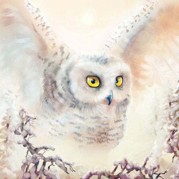 Diamond Painting DIY 5D Owl Crystal Rhinestone Embroidery Art