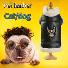 teddyclothe, dogsclothe, Fashion, dog coat