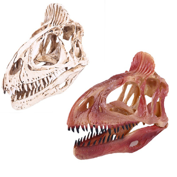 Double Dragon Dinosaur Skull Resin Skulls Resin Model Home Furnishing