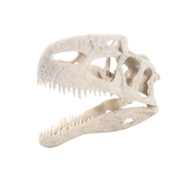 Dilophosaurus