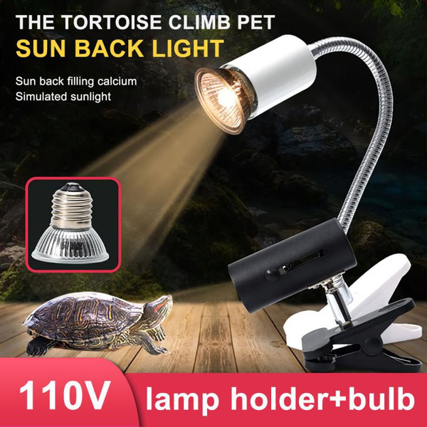 Tortoise light outlet bulb