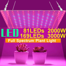 Plants, led, Sports & Outdoors, Herb