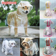 Fashion, Teddy, Pets, raincoat