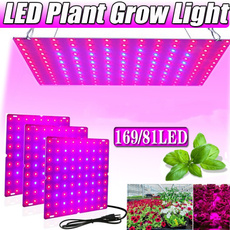 Plants, Indoor, led, ledgrowtent