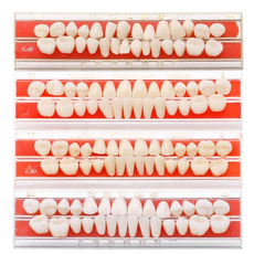 guideteeth, porcelaintooth, Pins, dental