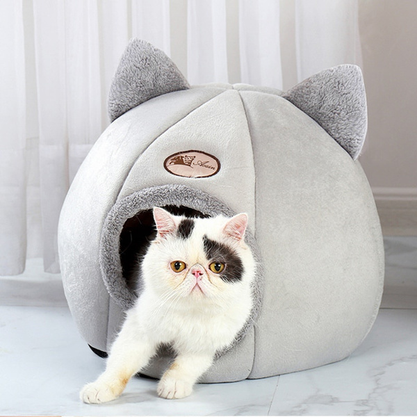 wish cat bed