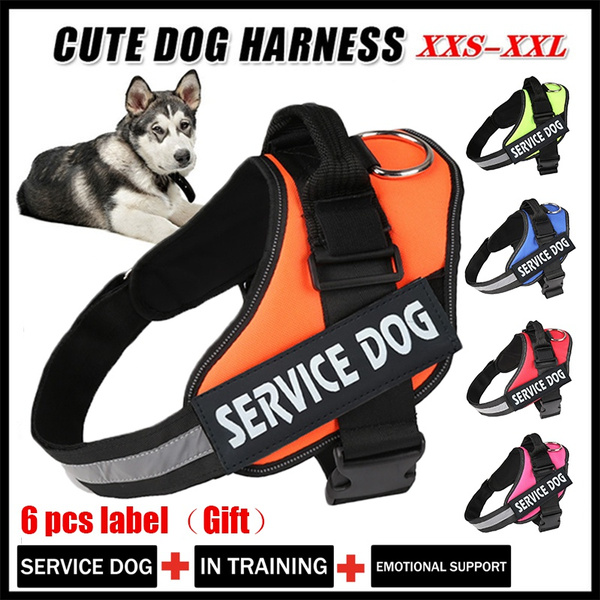 Small Medium Large Dog Reflective Nylon Service Dog Harness Pet Training  Vest with Patches Dog (8 colors,XS-2XL)