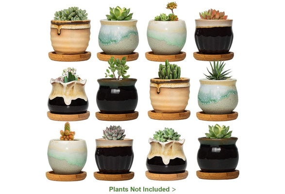 VIRTUNE Adorable Indoor Plant Pots. 5 Flower Pot & 2 Succulent Pot with drainage. Small Plant Pots, Cute Pots, Succulent Planter (Light Yellow)