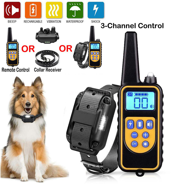 Are Shock Collars Good For Rough Collies