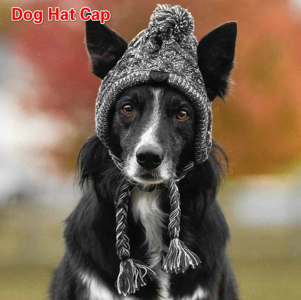 Dog hats for sales winter