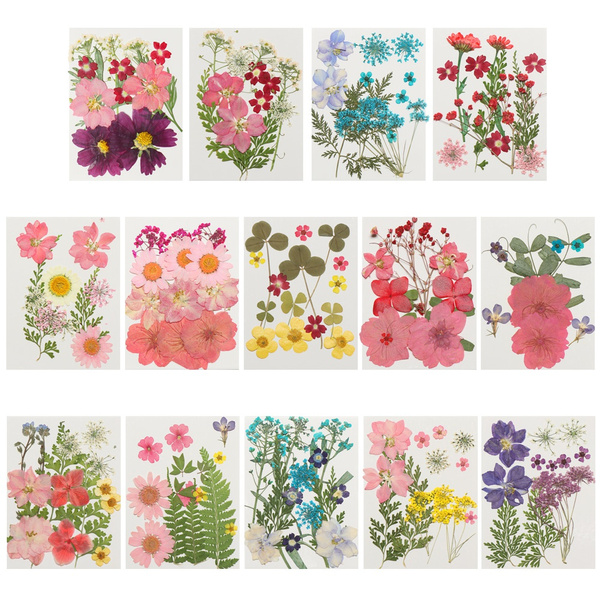 Filling Materials Jewelry Making Resin Filler Dried Flowers Resin
