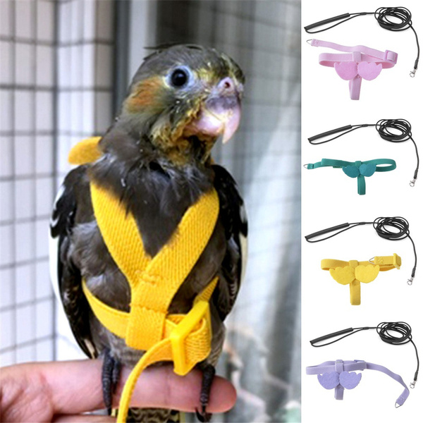Adjustable Bird Harness Leash For Pet Parrot Outdoor Flying Training