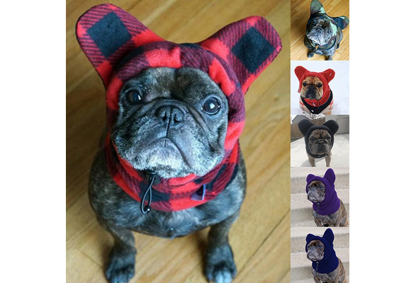 Bat hat 2024 for french bulldog