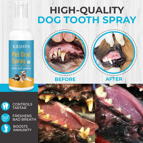 dog teeth cleaning spray