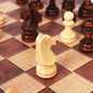 thumbnail - 2
