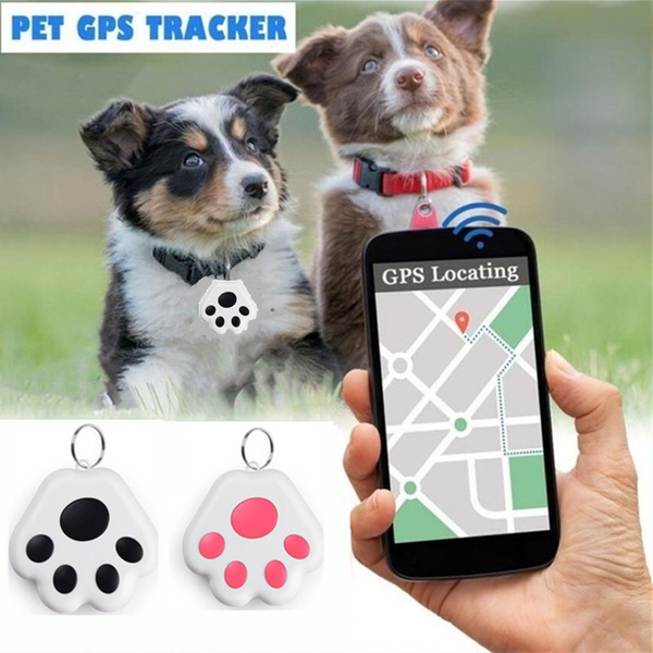 Paw gps Clearance