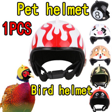 Helmet, chickhat, pethelmet, Funny