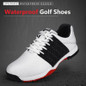 thumbnail - 2