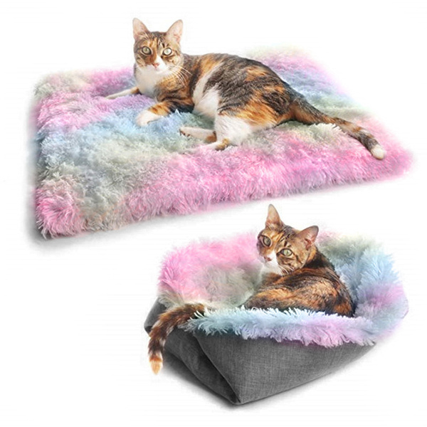 rainbow cat bed