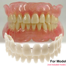 practiceusing, toothbeauty, oralmaterial, dental